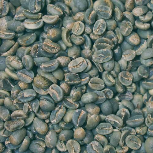 Endonezya Sumatra Mandheling DP Gr.1 Yeşil Kahve Çekirdek,1000 Gram - 2