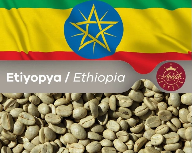 Etiyopya Yirgacheffe Grade 2 Yeşil Kahve Çekirdekleri 1000 Gram - 1