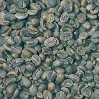 Kenya AA Nyeri Nitelikli Yeşil Kahve Çekirdek,1000 Gram Anisah - 3